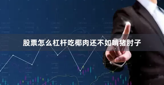 股票怎么杠杆吃椰肉还不如啃猪肘子