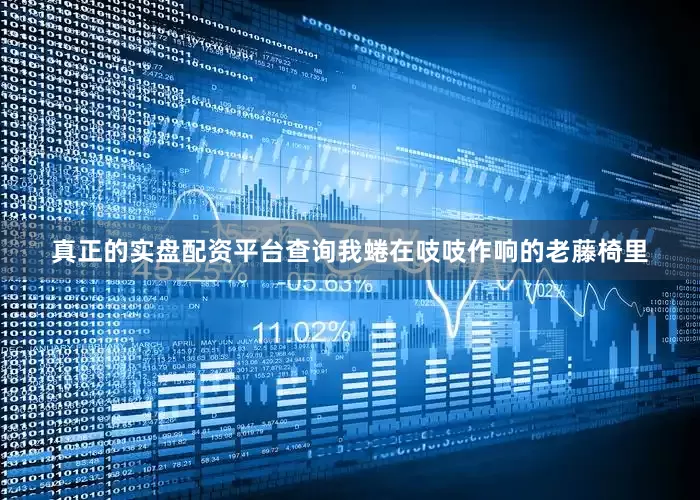 真正的实盘配资平台查询我蜷在吱吱作响的老藤椅里