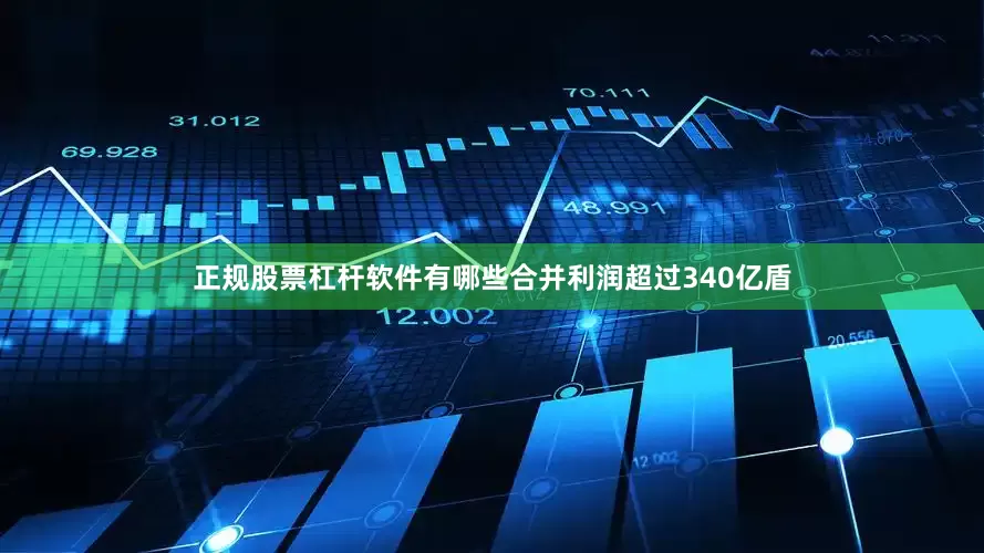 正规股票杠杆软件有哪些合并利润超过340亿盾